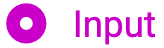 Input